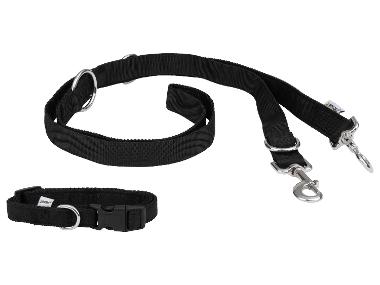 ZOOFARI® Collier pour chien avec laisse (Collier S et laisse de chien)