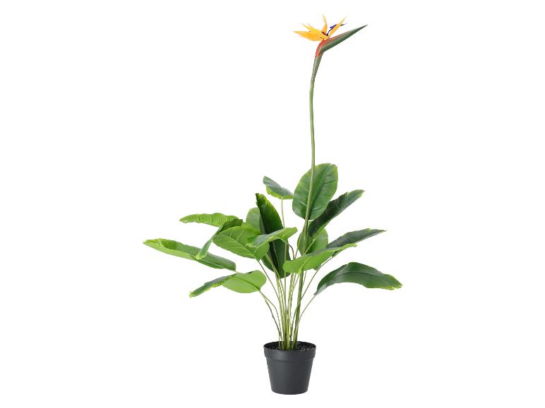 Plante artificielle oiseau de paradis en pot noir