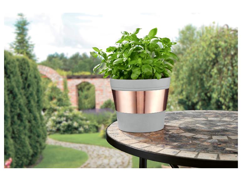 Plante de basilic dans un pot gris et cuivre sur une table en mosaïque dans un jardin.