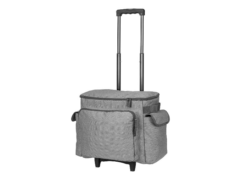 Sac gris à roulettes avec poignée télescopique