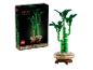 LEGO Botanicals Lucky Bamboo, un ensemble de construction de plantes en briques vertes dans un pot.