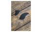 Deux ailerons de surf noirs sur une planche de bois.