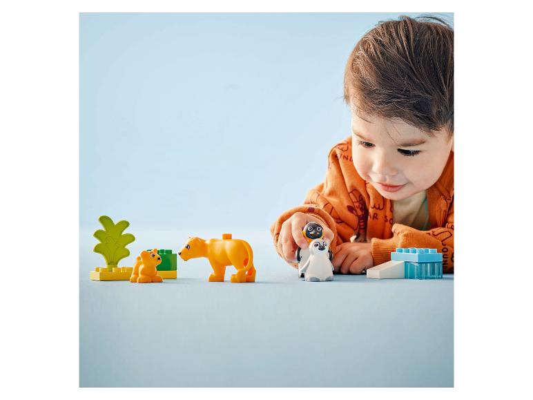Garçon jouant avec des figurines LEGO Duplo lion, lionceau et pingouins.