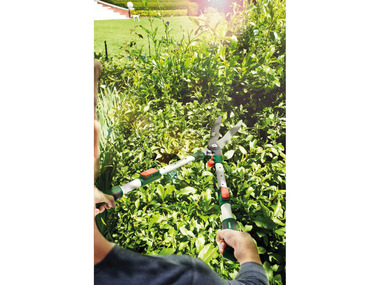 Le sécateur électrique Parkside : une aide précieuse pour vos travaux de  jardinage ! 