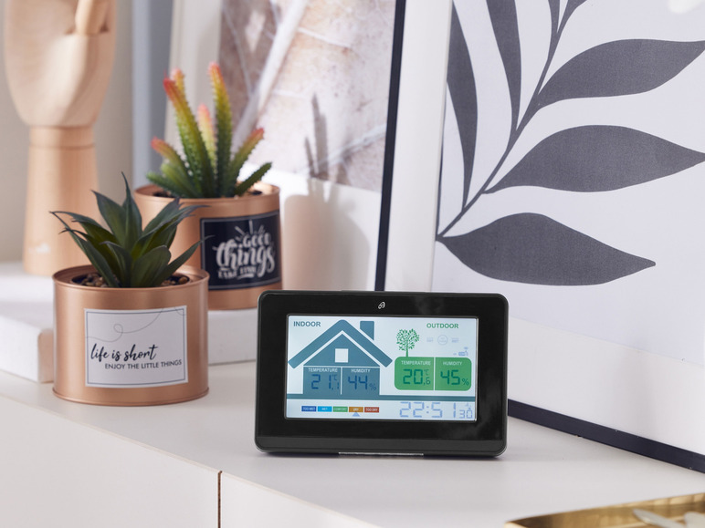 Aller en mode plein écran : LIVARNO home Plantes artificielles, 2 pièces - Image 8