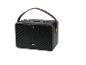 Enceinte portable noire avec poignée marron et boutons dorés, avec le logo TRONIC.