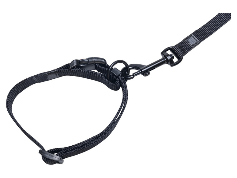 Aller en mode plein écran : Collier avec laisse - Image 37