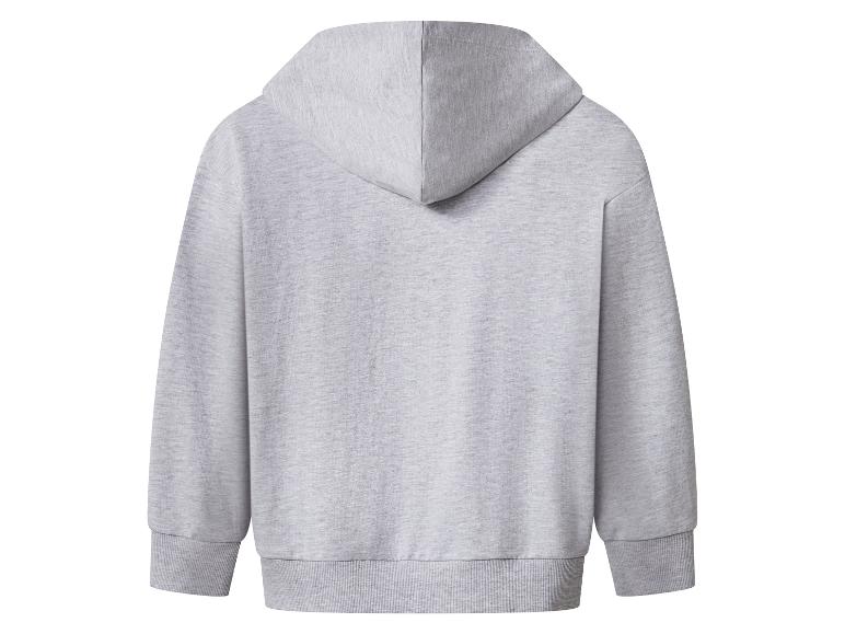 Vue arrière d'un sweat à capuche gris clair uni avec poignets et ourlet côtelés.