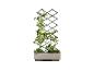 Une jardinière en bois avec une plante et une grille métallique