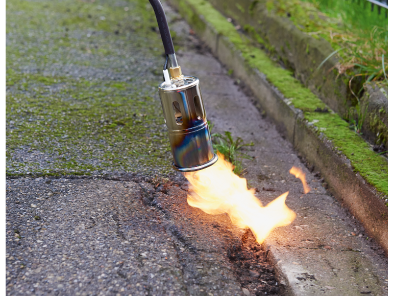 Désherbeur thermique en action sur une allée moussue.