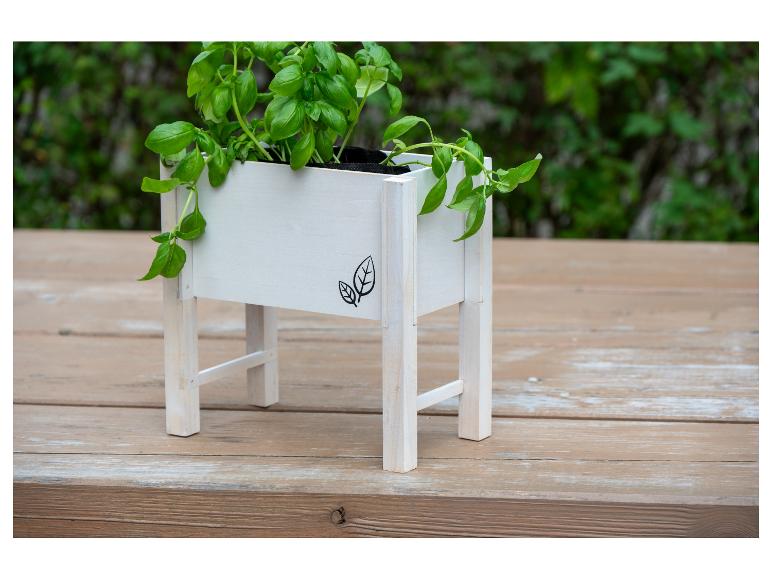 Un pot de fleurs en bois blanc avec du basilic sur une terrasse en bois.