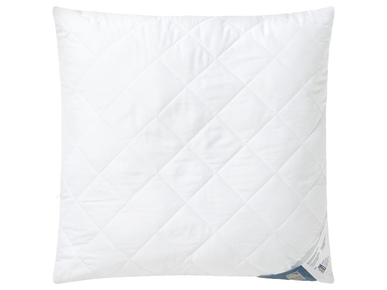 Aller en mode plein écran : LIVARNO home Oreiller TECFill 25, 60 x 60 cm - Image 1