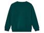 Un sweat-shirt vert foncé à manches longues.