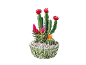 Composition de cactus et plantes grasses en pot avec des fleurs rouges et oranges éclatantes.