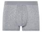 Un boxer gris.