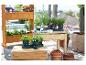 Des herbes comme le basilic et le thym dans des pots sur une table en bois.