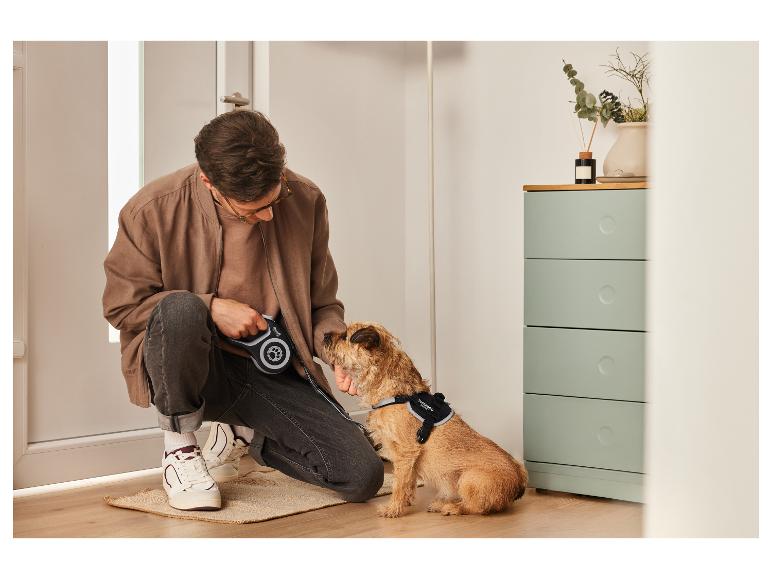 Un homme attache une laisse Superdog à son chien.