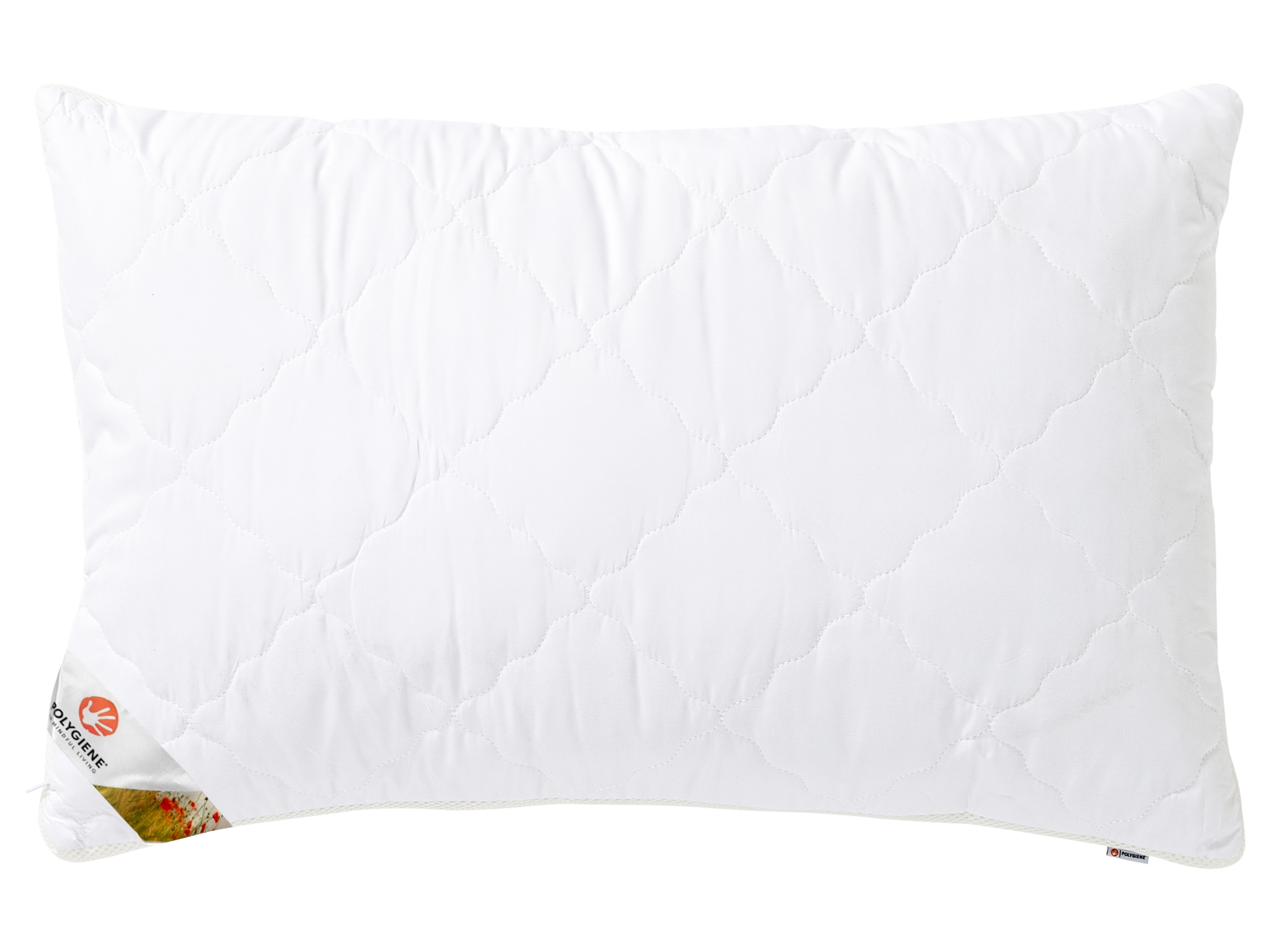 LIVARNO home Oreiller Polygiene®, 60 x 50 cm