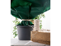 Plante en pot avec housse de protection verte et ficelle sur un bloc de bois.