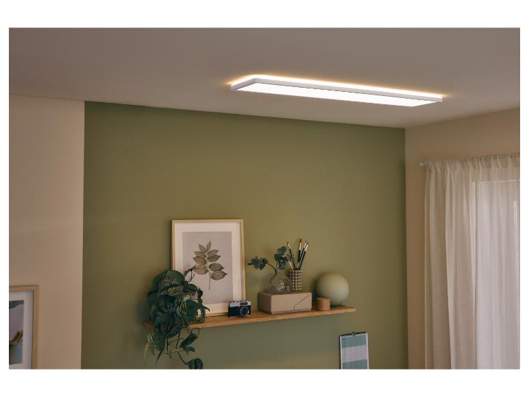 Plafonnier LED dans un salon avec un mur vert et une étagère décorée.