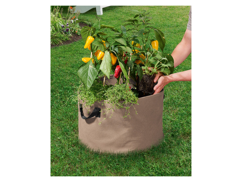 Aller en mode plein écran : PARKSIDE® Lot de 2 sacs à plantes en non-tissé - Image 35