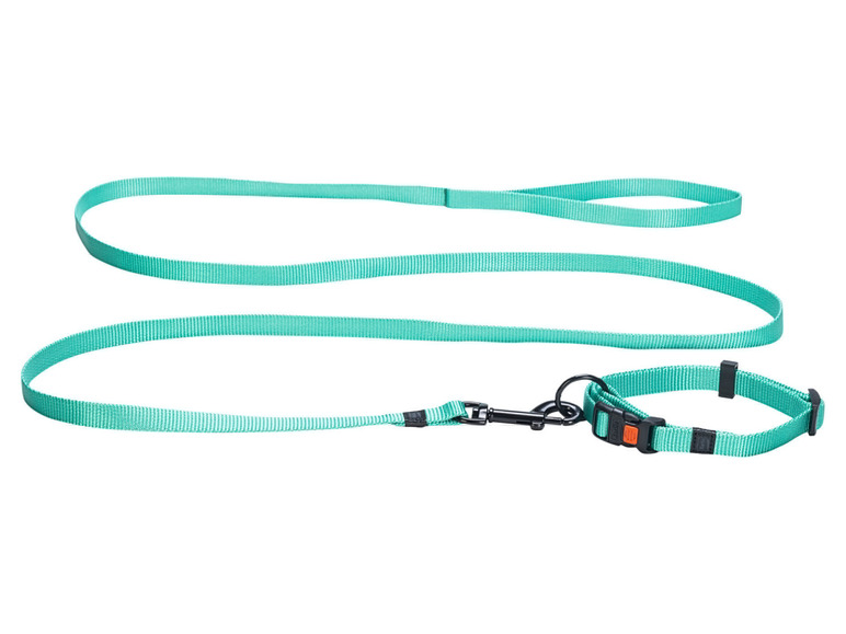 Aller en mode plein écran : Collier avec laisse - Image 15
