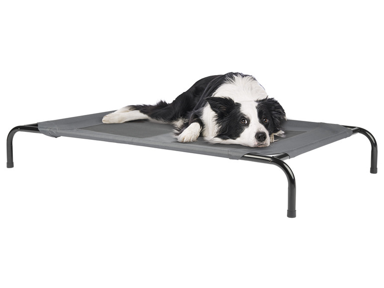 Aller en mode plein écran : zoofari® Lit de camp pour animal domestique - Image 2