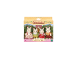 Un ensemble Sylvanian Families Famille Lapin Chocolat avec quatre figurines de lapins dans une boîte.