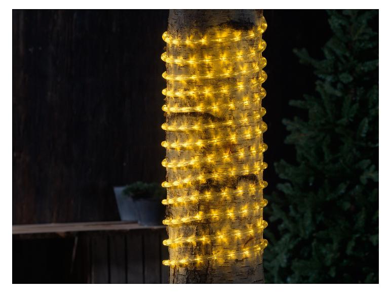 Guirlande lumineuse jaune enroulée autour d'un tronc d'arbre.