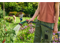 Personne arrosant des plantes avec un tuyau d'arrosage, avec un enfant et un chien courant en arrière-plan.