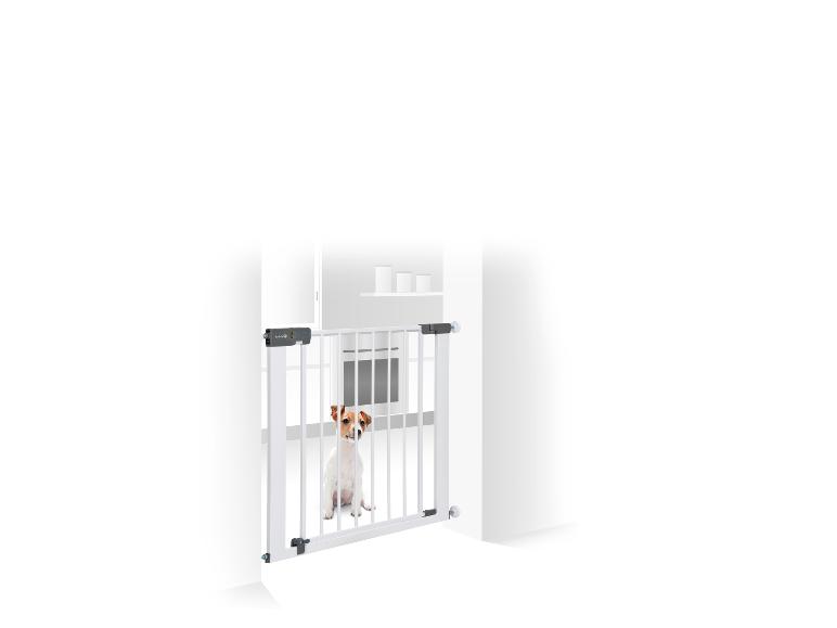 Chiot Jack Russell Terrier derrière une barrière de sécurité blanche.
