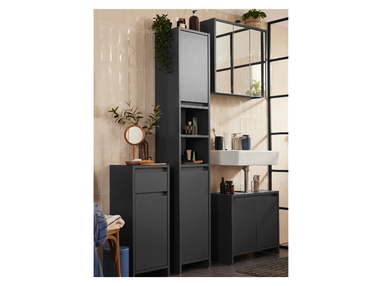 Meubles de salle de bain modernes : armoire haute, lavabo et miroir.