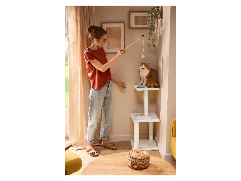 Femme jouant avec un chat près d'un arbre à chat.