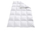 Une couette blanche en duvet avec un oreiller de la marque 
