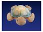 Tortue en peluche lumineuse, sur fond bleu foncé