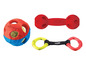 Jouets pour chiens Nerf, y compris une balle, un haltère et un anneau.