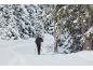 Homme faisant du ski de fond avec des bâtons sur un chemin enneigé à travers une forêt hivernale.