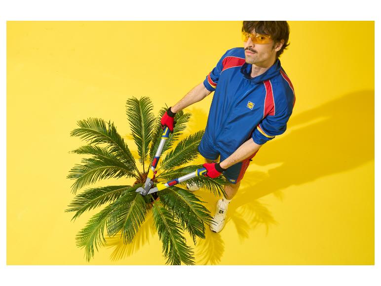 Homme en tenue de sport taillant un palmier avec des cisailles de jardin sur fond jaune.