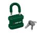 Cadenas vert ouvert avec deux clés sur un anneau