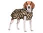 Chien beagle dans un manteau imprimé léopard