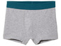Boxer gris avec une bande de taille teal.