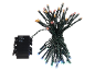 Guirlande lumineuse LED multicolore avec câble vert et boîtier de commande (minuterie, on, off).
