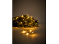 Guirlande lumineuse LED sur une branche de sapin, créant une ambiance chaleureuse.