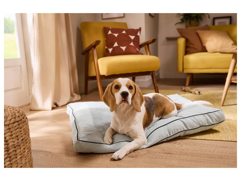 Chien beagle allongé sur un coussin gris dans un salon avec des meubles jaunes.