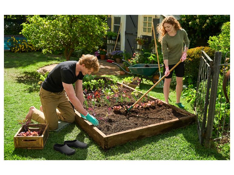 Couple plantant des légumes dans un potager surélevé, avec des outils de jardinage et une brouette.