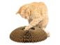 Un chat orange joue avec un griffoir en carton.