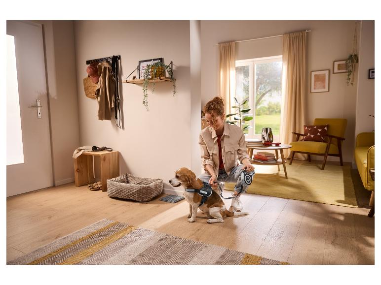 Femme attachant une laisse à un chien dans le couloir, à côté d'un panier pour chien et d'un banc en bois.