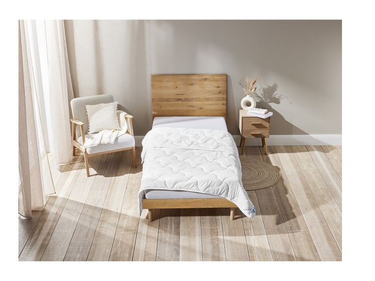 Aller en mode plein écran : LIVARNO home Couette FERAN ICE®, 140 x 200 cm - Image 3
