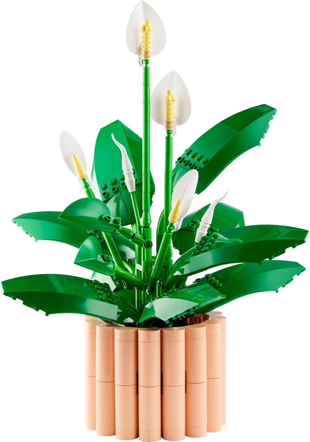 LEGO® Botanicals 11504 Les fleurs de lune - vue 2