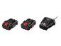Deux batteries X20V Max et un chargeur pour outils.